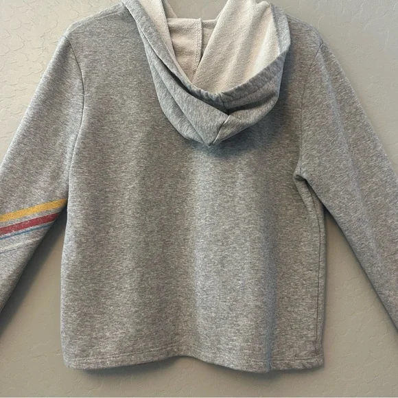 ⭐️Disney Parks Disneyland resort vintage look crop hooded sweatshirt size medium - Picture 5 of 16